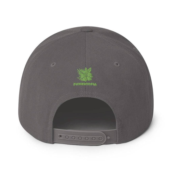 “The Logo” Snapback Cap - Patientopia, The Community Smoke Shop