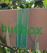 Budbox- Handpicked Varietal (Subscription)